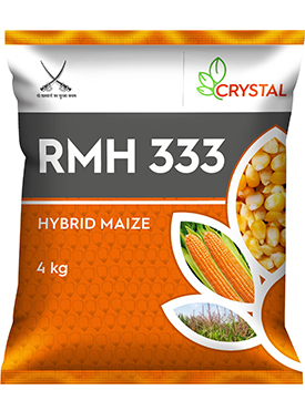 RMH 333