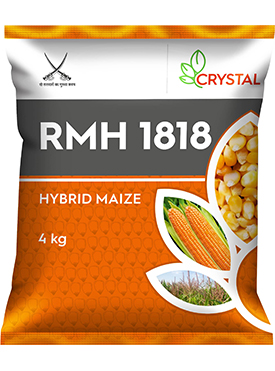 RMH 1818