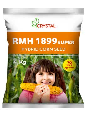 RMH 1899 Super