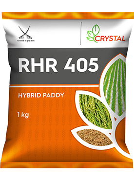 RHR 405