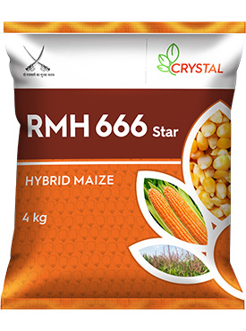 RMH 666 Star