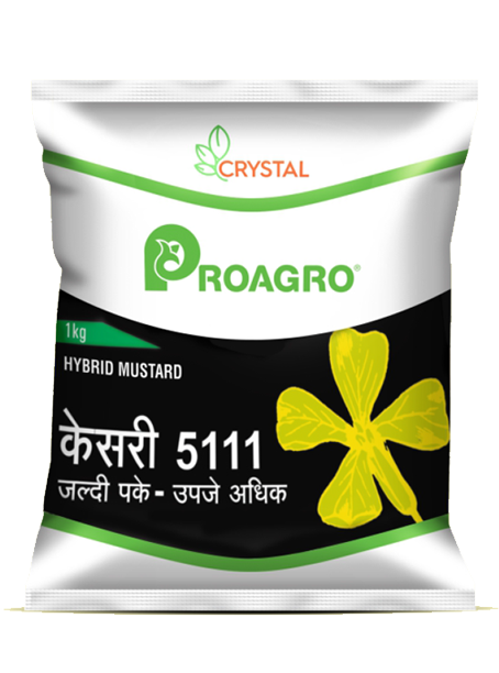 Kesari 5111