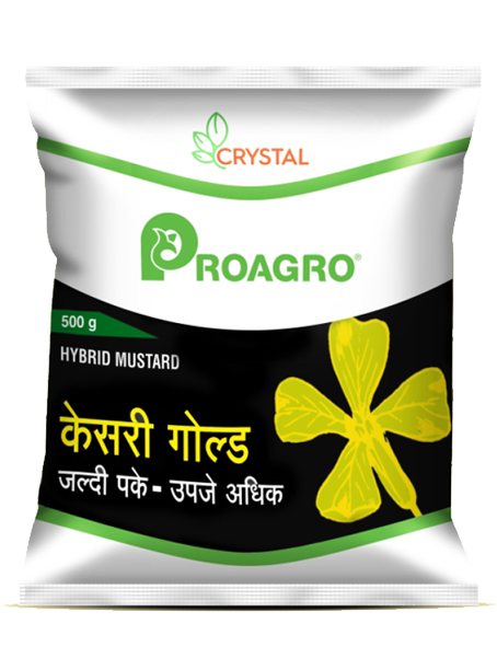 Kesari Gold