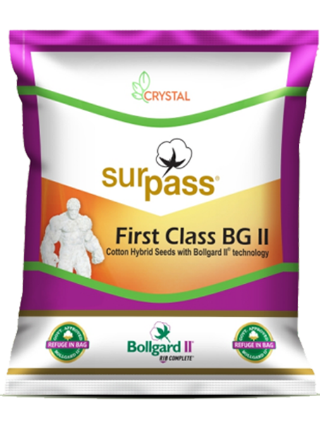 SP 7149 BGII (First Class)