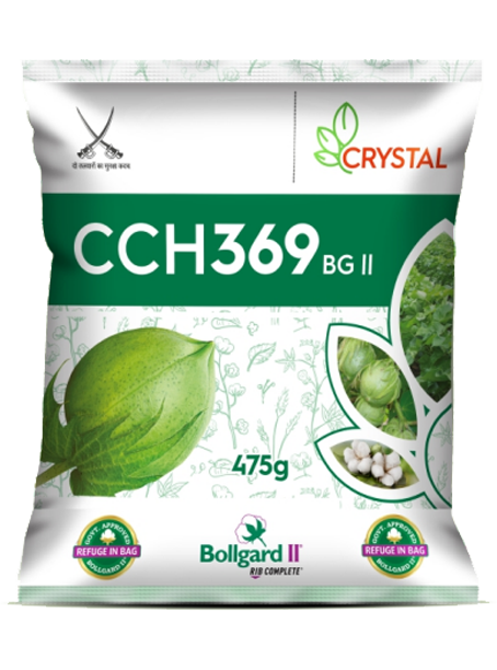 CCH 369 BGII