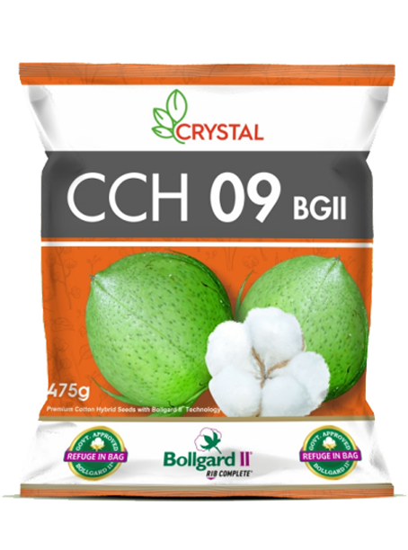 CCH 09 BGII