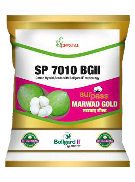 SP 7010 BGII (Marwad Gold)