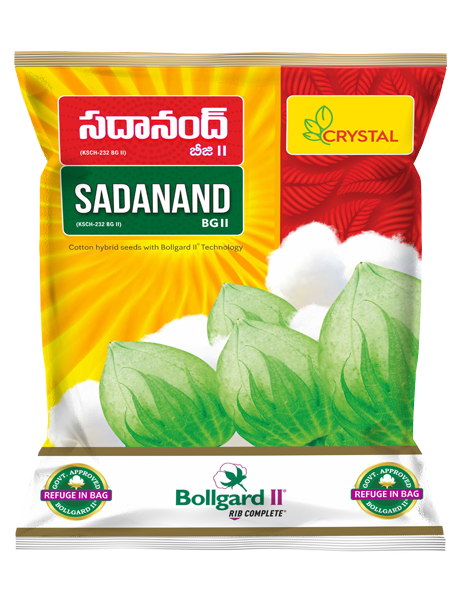 Sadanand  (KSCH-232)