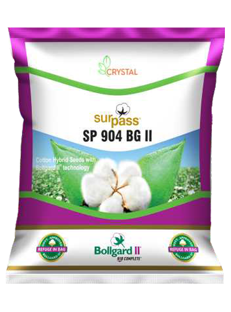 SP 904 BGII