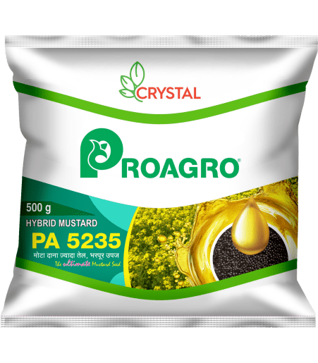 PA 5235 HYBRID MUSTARD