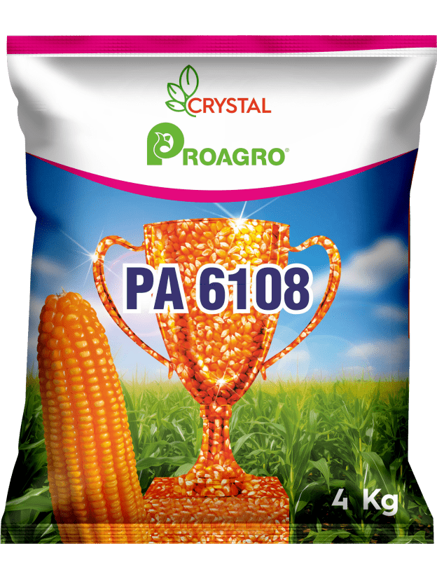 PA 6108