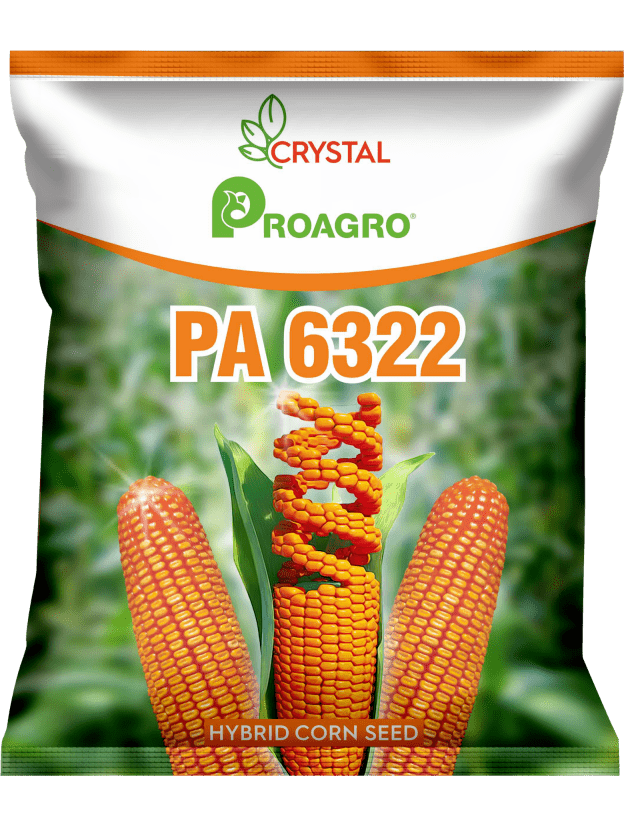 PA 6322