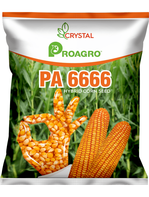 PA 6666