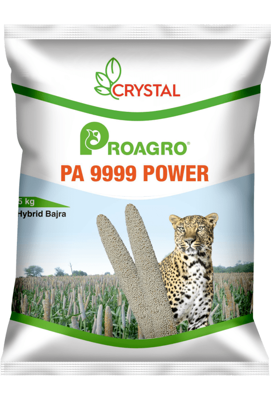 PA 9999 POWER