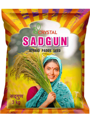 Sadgun 